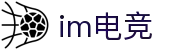 im电竞·(中国)电子竞技平台"